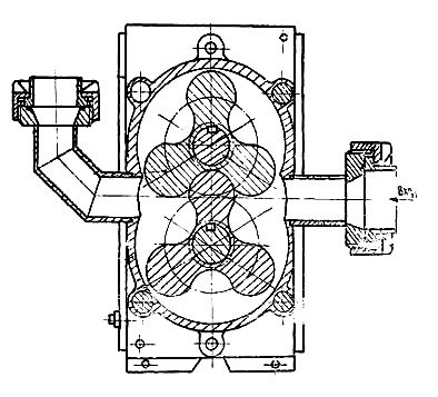 nas 6